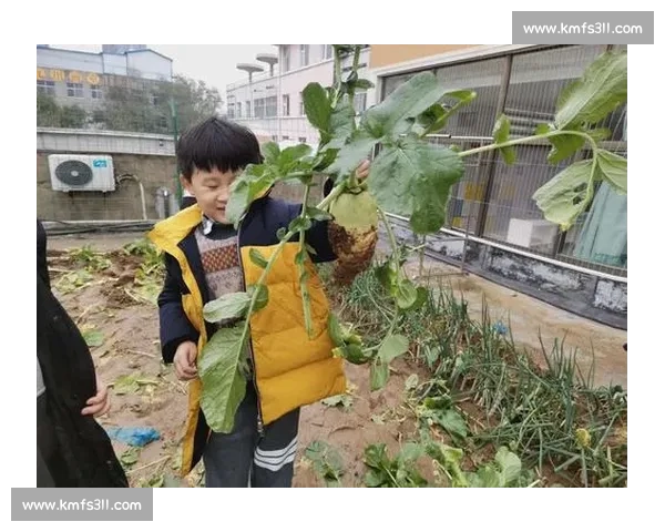 拔萝卜比赛下载挑战你的反应速度与合作能力,快来一起体验吧 拔萝卜比赛下载挑战你的反应速度与合作能力,快来一起体验吧