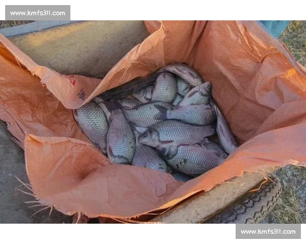 无锡钓鱼比赛盛大开幕 钓友们激情竞技争夺冠军荣耀 无锡钓鱼比赛盛大开幕 钓友们激情竞技争夺冠军荣耀