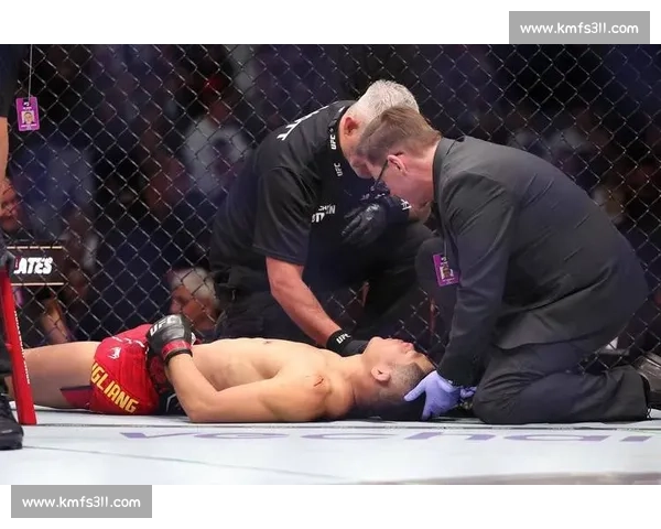 李景亮精彩瞬间盘点 UFC比赛全程回顾实力之战